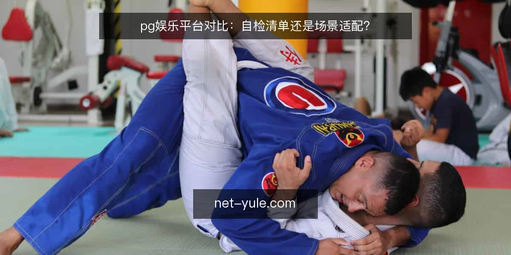 pg娱乐平台对比：自检清单还是场景适配？ — 为何现在做自检：pg娱乐平台选择误区 配图