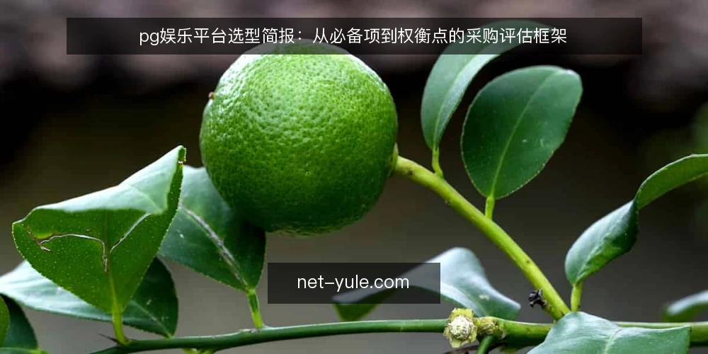 pg娱乐平台选型简报:从必备项到权衡点的采购评估框架 — 需求界定:明确采购对象与使用场景 配图