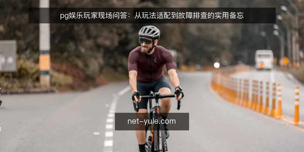 pg娱乐玩家现场问答:从玩法适配到故障排查的实用备忘 — 现场信号:怎么判断当前玩法是否适合自己? 配图